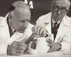 Down at the country show: Farming photography in the 20th century