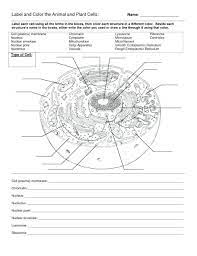 Cell Membrane Coloring Worksheet Answer Key Fresh Cell Coloring Hitcolor Cells Worksheet Plant Cells Worksheet Animal Cells Worksheet