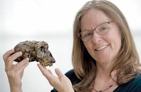 Je Evropa kolébkou lidstva? (2019)