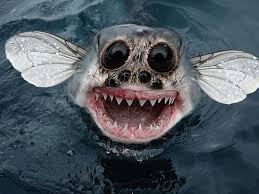 13 Ferocious Hybrid Animals To Creep You Out Photoshopped Animals Creepy Animals Animal Mashups