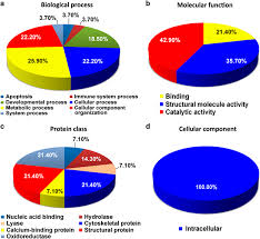 Pie Chart Depicting The Functional Classification Of