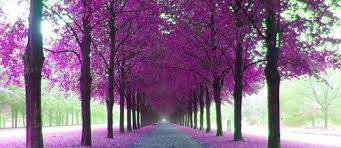 You can also upload and share your favorite baddie wallpapers. 43 Purple Landscape Wallpaper On Wallpapersafari