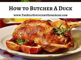 How To Butcher A Duck With Complete Instructions The Self Sufficient Homeacre