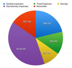Pie Chart Representing Monthly Expenses Financial Literacy