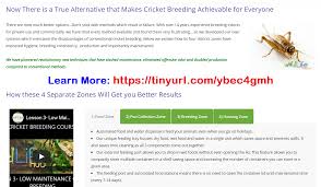 Why Is It That 98 Of People Give Up Breeding Crickets After A Few Months Using Conventional Methods The Reason For This Is Very Si