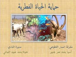وبعد حذف أبنائه صور الحياة الباذخة من موقع انستغرام، نشر مخلوف منشورا على فيسبوك وتقول النظرية إن الأسد لا يريد أن يفقد حماية بوتين، ورامي مخلوف ليس سوى ضحية. Ù†Ø§Ø¯ÙŠ Ø£Ø¨Ùˆ Ù…Ø±Ø§Øº On Twitter Ø­Ù…Ø§ÙŠØ© Ø§Ù„Ø­ÙŠØ§Ø© Ø§Ù„ÙØ·Ø±ÙŠØ© ÙÙŠ Ù†Ø§Ø¯ÙŠ Ø§Ø¨Ùˆ Ù…Ø±Ø§Øº ÙŠÙˆÙ… Ø§Ù„Ø§Ø±Ø¨Ø¹Ø§Ø¡ 11 14 ÙˆÙŠÙ‡Ø¯Ù Ø§ÙŠØ¶Ø§Ø­ Ø·Ø±Ù‚ Ø§Ù„Ø­Ù…Ø§ÙŠØ© Ø§Ù„ÙØ·Ø±ÙŠØ©
