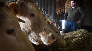 Une histoire qui dure depuis 25 ans. La Blonde D Aquitaine Reine Des Pres Saint Hilaire En Lignieres 18160