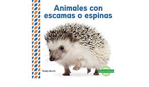 The spanish alphabet by agnes augusthy and haini wu featuring animals. Animales Con Escamas O Espinas Scaly Spiky Animals Spanish Version Piel De Los Animales Animal Skins Spanish Edition Borth Teddy 9781624026232 Amazon Com Books