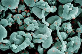 Mutated COVID-19 variant could be behind surge in SF virus levels