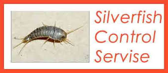 At one point it seemed as if bed bugs were a vague problem of the past, a mythical creature only mentioned cutely before bedtime. Pest Control Hoppers Crossing Bye Bye To Bed Bugs 0488 851 646