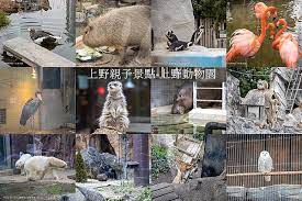 The site owner hides the web page description. ä¸Šé‡Žè¦ªå­æ™¯é»žä¸Šé‡Žå‹•ç‰©åœ'å‹•ç‰©éƒ½å¥½è¿'å­©å­çœ‹å¾—å¥½é–‹å¿ƒ About Hsuanç¾Žç¾Žåª½å'ªè¦ªå­ç¾Žé£Ÿæ—…éŠ ç—žå®¢é‚¦