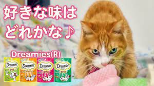 わーい おやつ 猫はどの味を選ぶのか ドリーミーズ食べるニャ will cats choose the favorite snacks 猫 ニャ 茶トラ猫