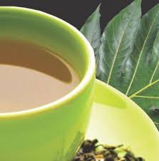Khasiat daun sukun ini bukan hanya cerita yang beredar di masyarakat, malainkan telah melalui hal ini tidak mengherankan, sebab daun sukun mengandung senyawa flavonoid yang cukup tinggi. 10 Manfaat Teh Daun Sukun Dan Cara Membuat Teh Daun Sukun