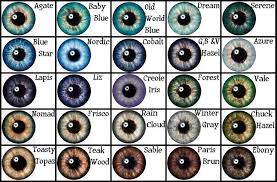 pin by s turner on womens fashion eye color chart