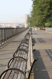My Neighborhood The Neighborhood Brooklyn Heights The Neighbourhood Carroll Gardens Brooklyn