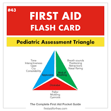 Image result for Pediatric Assessment Triangle
