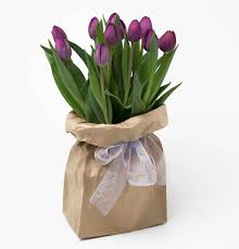 Planting flowers during their proper season will ensure the best odds of optimal growth and good health. Tulips Cambridge Hamilton Florist