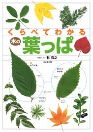 よく似た葉っぱがひと目で見分けられる 初心者向け樹木図鑑の決定版 くらべてわかる木の葉っぱ 刊行 山と溪谷社 新着情報 山と溪谷社