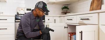 Terminix Exterminators: Termite and Pest Control in Trenton