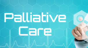 We did not find results for: Palliative Treatment Options For Mesothelioma