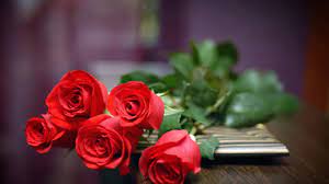 Così è per la regina elisabetta, oggi, giorno dei suo novantesimo compleanno, accolta dai cori di happy birthday to you e dalla banda mentre faceva una passeggiata fra la folla di sudditi e turisti che si trovano nelle vie di windsor. Fiori Da Regalare A Un Uomo Idee Green