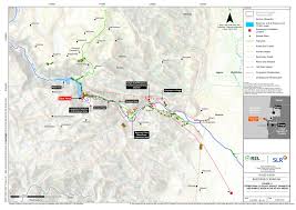 Image result for Vernonia melanocoma