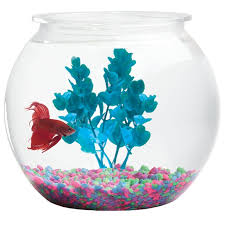 Giving your betta the proper lighting, filtration and more can help your betta fish thrive. Hawkeye 3 Gallon Bubble Shaped Fish Bowl Walmart Com Walmart Com
