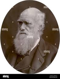 Charles darwin 1878 hi-res stock photography and images