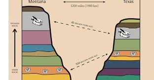 Potassium argon dating (k/ar) 5. Law Of Superposition Index Fossils 8th Grade Science