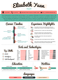 infographic resume design