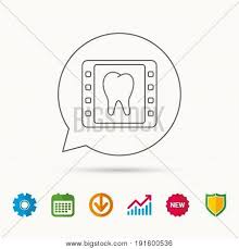 Dental X Ray Icon Vector Photo Free Trial Bigstock
