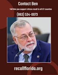 What are the most important keywords in the post that capture the nuances  of the post? The most important keywords in the post are "recall county  officials", "state house", "senate", "bill", "county