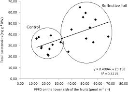 Raspberries coloring page free printable pages orange blossom coconut milk beyblade download and print. Influence Of Reflective Foil On Persimmon Diospyros Kaki Thunb Fruit Peel Colour And Selected Bioactive Compounds Scientific Reports