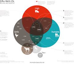 Pin On Infographics