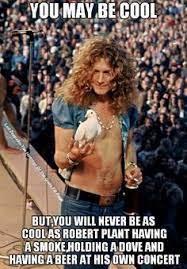 44 You May Be Cool But Ideas Bones Funny Funny Robert Plant Led Zeppelin