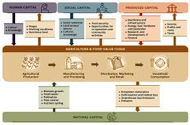 Read this essay on reducing sugar consumption. 6 Creating A Sustainable Food System Accelerating Climate Action Refocusing Policies Through A Well Being Lens Oecd Ilibrary