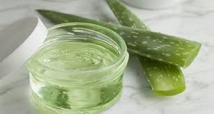 Utiliser L Aloe Vera Et Faire Son Propre Gel Maison Recipe Diy Aloe Vera Gel Aloe Vera Skin Care Aloe Vera Gel