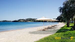 Δύο νεκροί είναι ο τραγικός απολογισμός πυροβολισμών που σημειώθηκαν την κυριακή στην περιοχή δασιά στην κέρκυρα. Dasia Paralia Dassia Beach