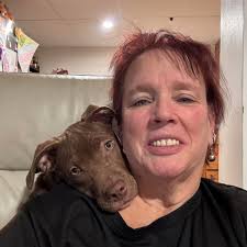 Best protein bars and why?