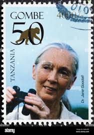 Portrait od Dr.Jane Goodall