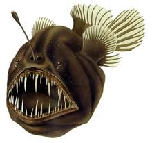 4 фразы в 1 тематике. Anglerfish Wikipedia