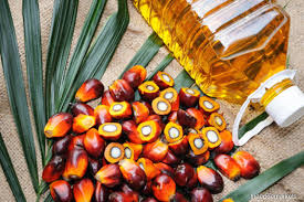 Half of all palm oil imports to the eu are for biofuel. Malaysia To File Legal Action With Wto Against Eu S Palm Oil Ban The Edge Markets