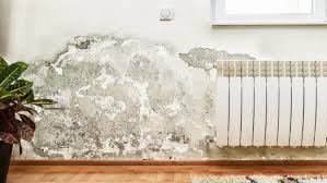 Bildet sich in einer wohnung oder einem haus schimmel, muss die ursache umgehend gefunden und beseitigt werden. Schimmel In Der Wohnung Verbraucherzentrale De