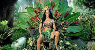 Image result for Katy Perry - Roar