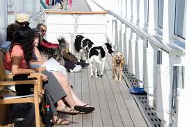 Look here for the very best pet friendly cottages in the uk. It S A Dog S Life On A Cunard Cruise Travel Associates