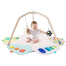 Baby Play Gym
