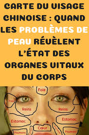 Carte Faciale Chinoise Lorsque Les Problemes De Peau Revelent L Etat Des Organes Vitaux Esprit Sante Probleme De Peau Remede Peau Grasse Peau