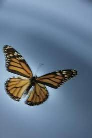 Como Elaborar Un Libro Del Alfabeto Con Ninos De Edad Preescolar Clases De Ciencias Escuela Primaria Metamorfosis