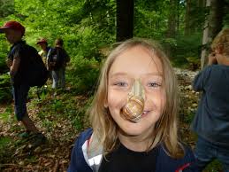 Riechen, schmecken, fühlen, verstehen ...