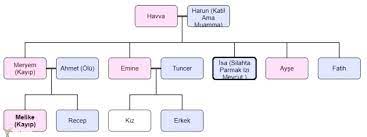 En Hizli Palu Ailesi Ozet